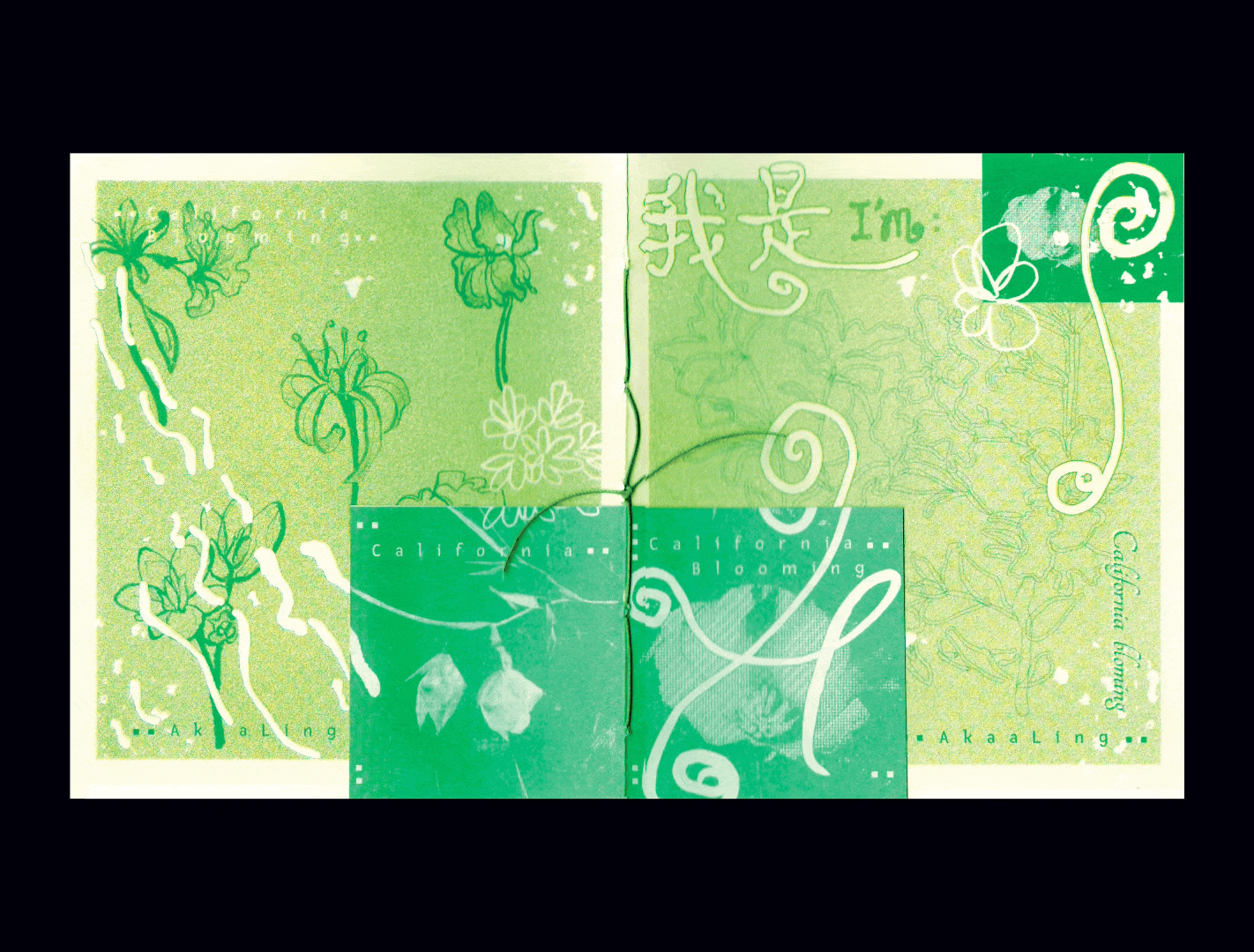 Akaa - I am california blooming 我是 - RISO Zine