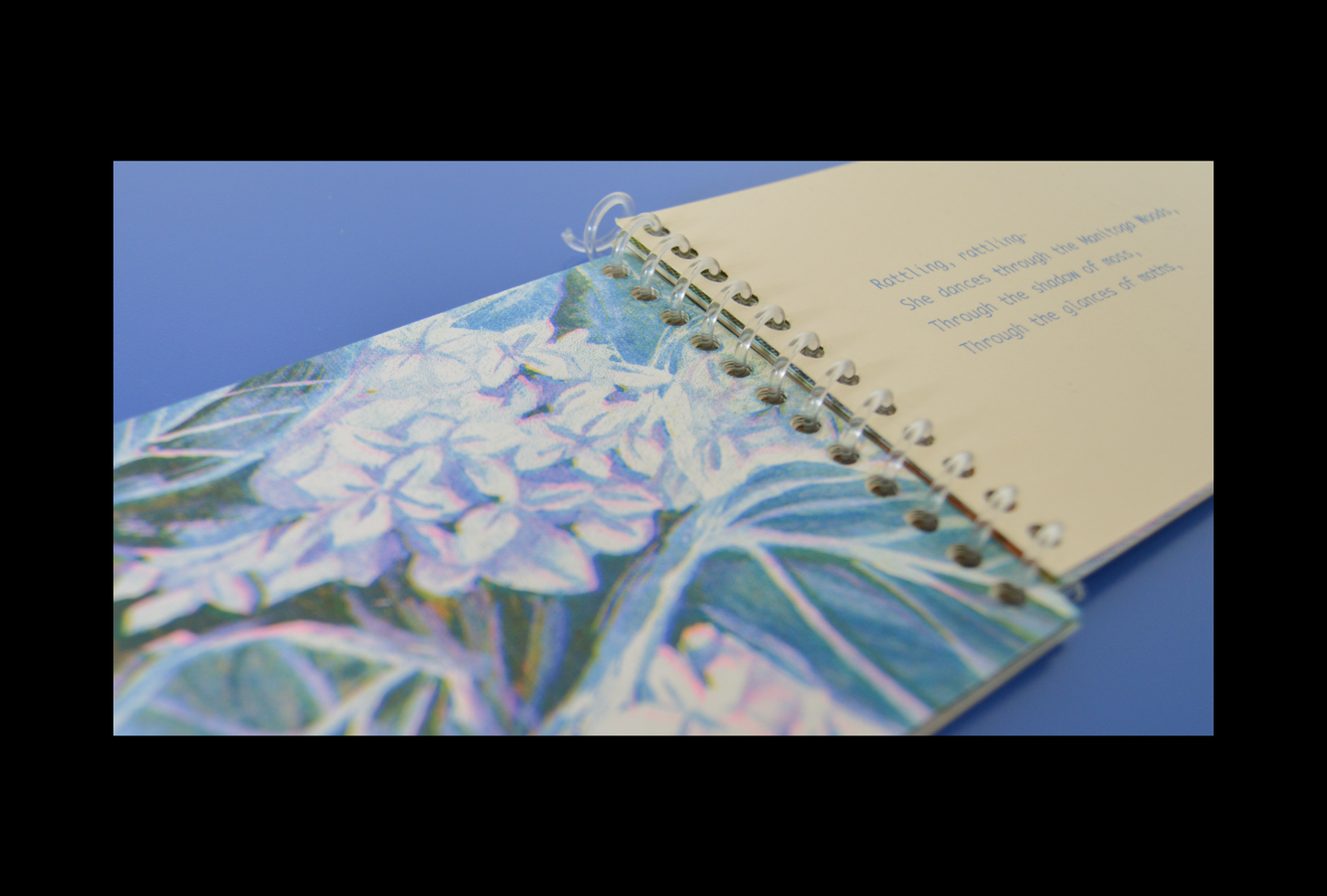 Five Ghosts - The Memory of a Tiny Forest Vol. 3 - Zine