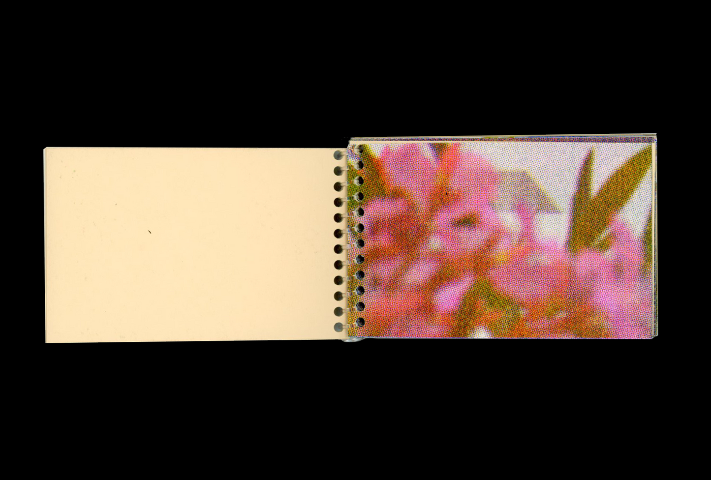 Five Ghosts - The Memory of a Tiny Forest Vol. 3 - Zine