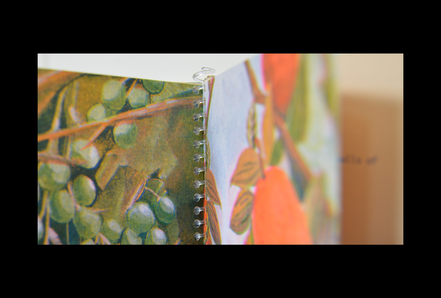 Five Ghosts - The Memory of a Tiny Forest Vol. 3 - Zine