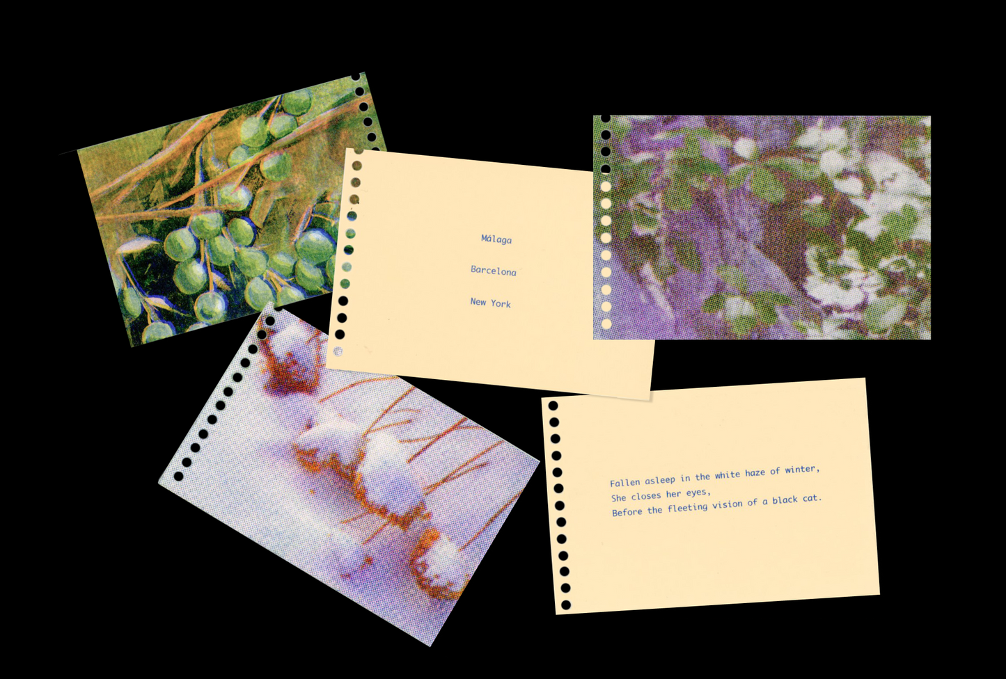 Five Ghosts - The Memory of a Tiny Forest Vol. 3 - Zine