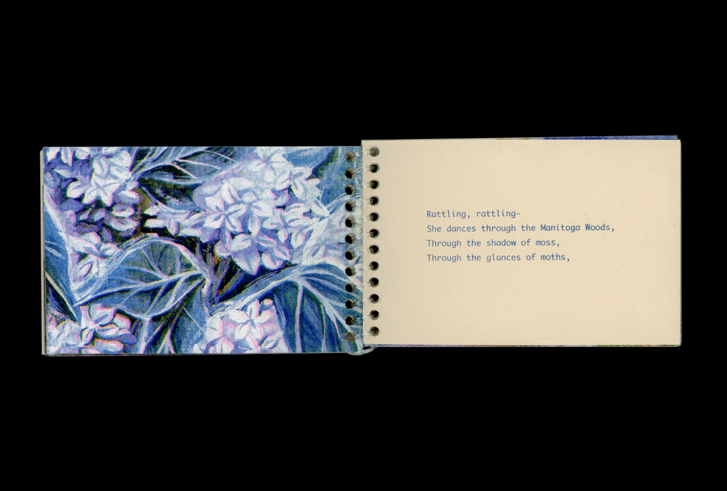 Five Ghosts - The Memory of a Tiny Forest Vol. 3 - Zine