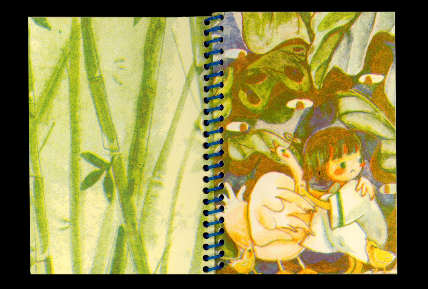 Five Ghosts - The Memory of a Tiny Forest Vol.1 Zine