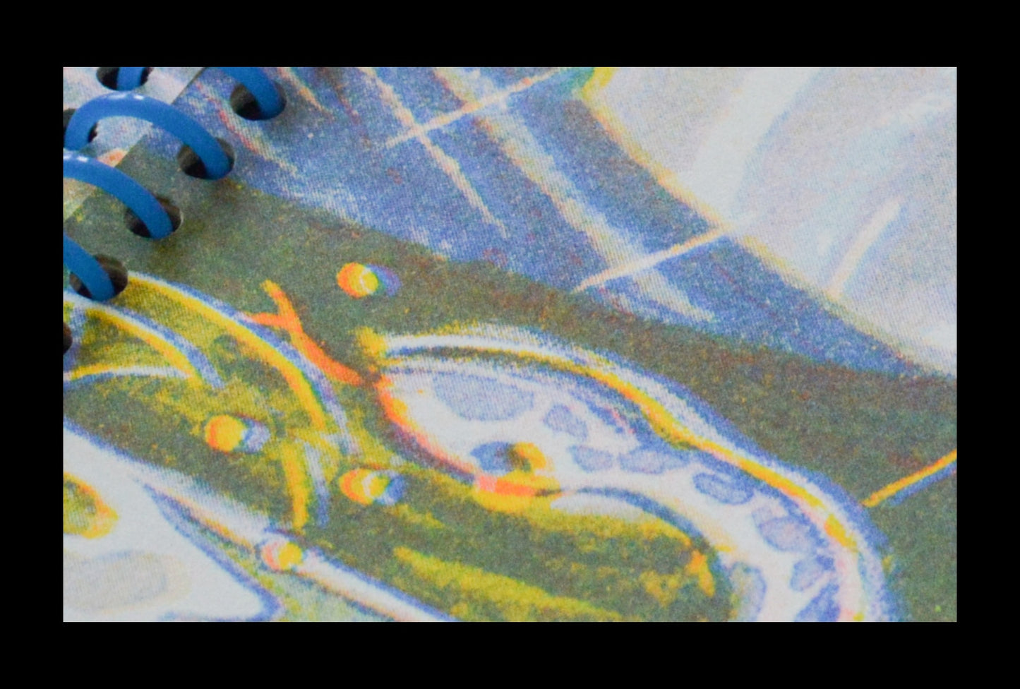 Five Ghosts - The Memory of a Tiny Forest Vol.1 Zine