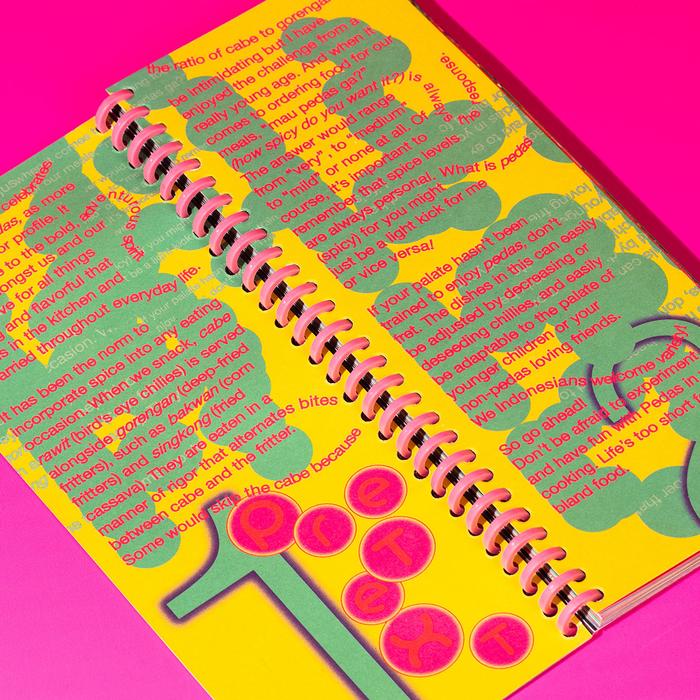 Tiny Studio - Pedas Zine by Spoons x Tiny Studio