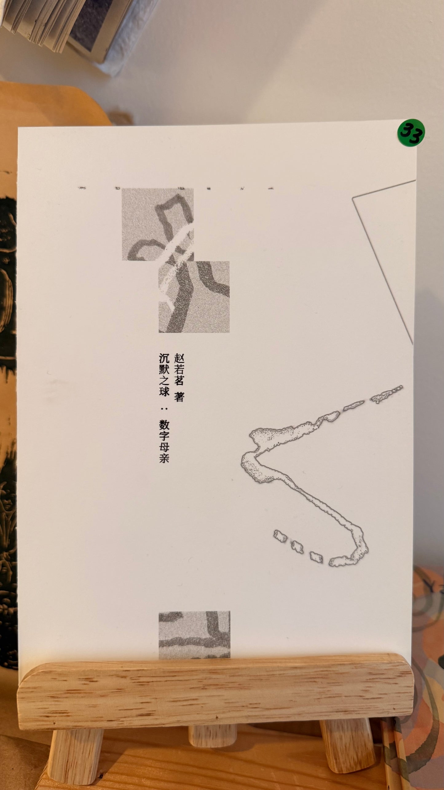 赵若茗 著 沉默之球 :数字母亲 | Silence Ball Digital Mother by Ruoming Zhao