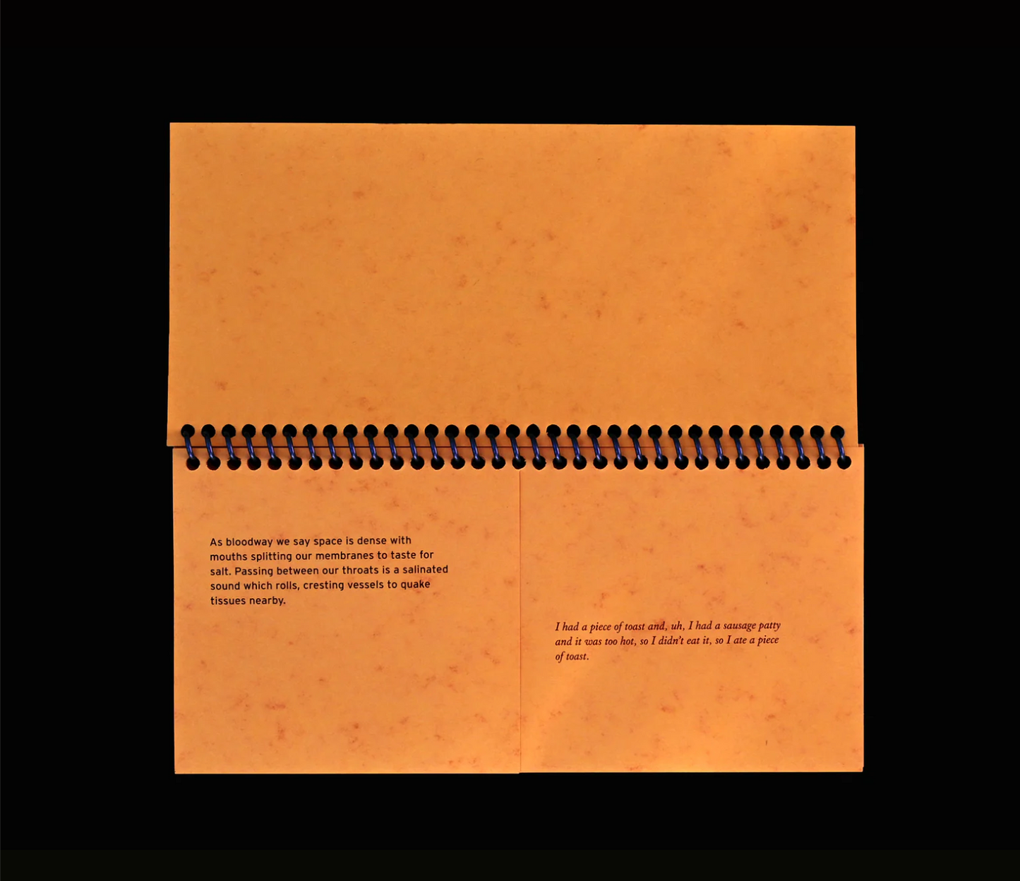 Sming sming books - Indira Allegra: Dispersal of a Feeling: Bloodnotes on Choreography and Illness