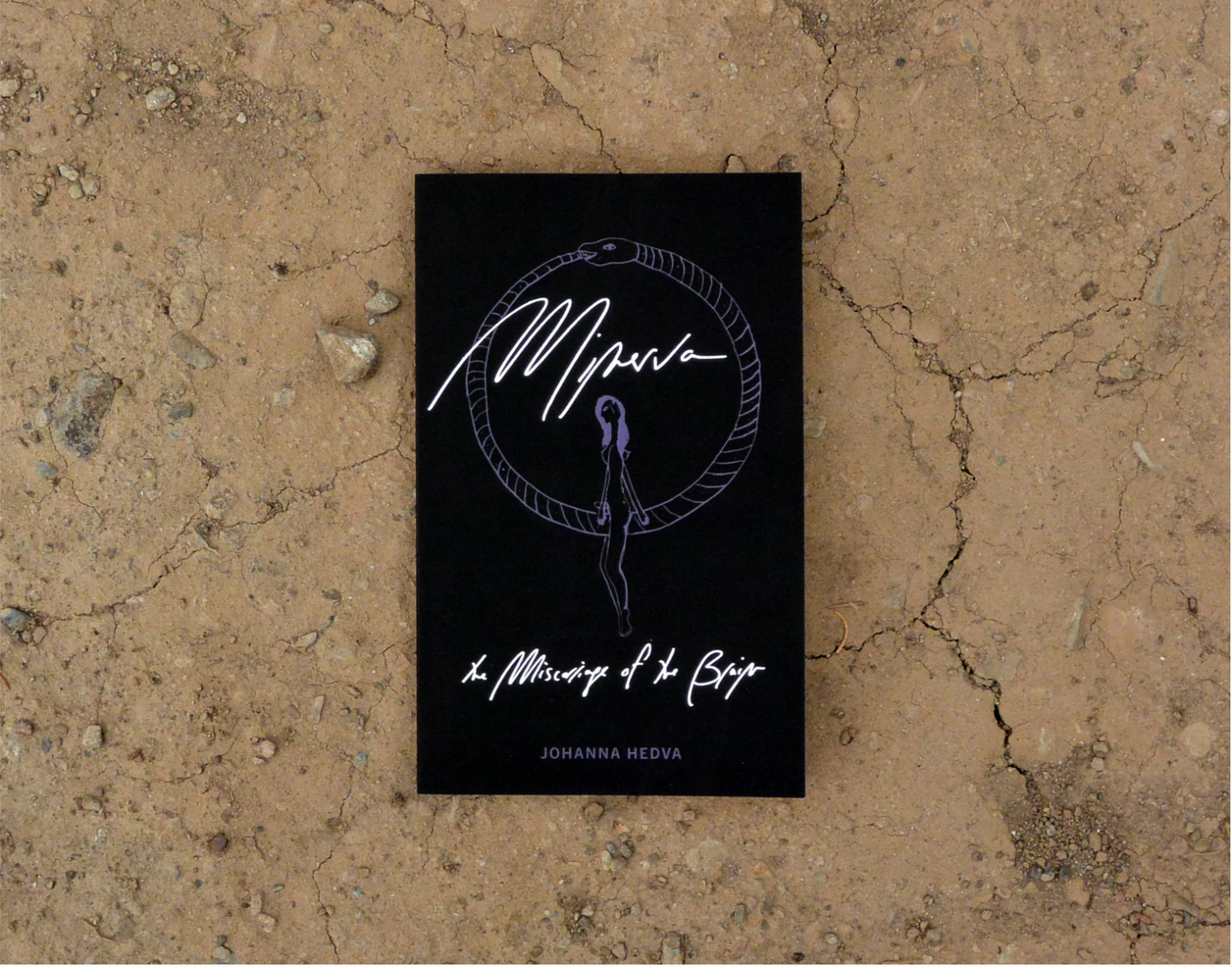 Sming sming books - Johanna Hedva: Minerva the Miscarriage of the Brain