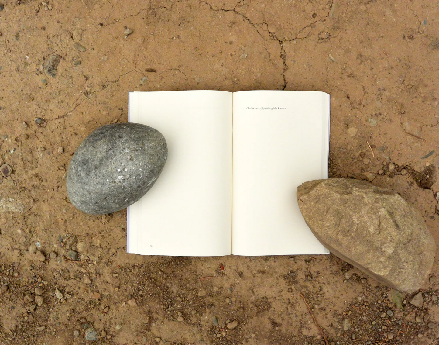 Sming sming books - Johanna Hedva: Minerva the Miscarriage of the Brain