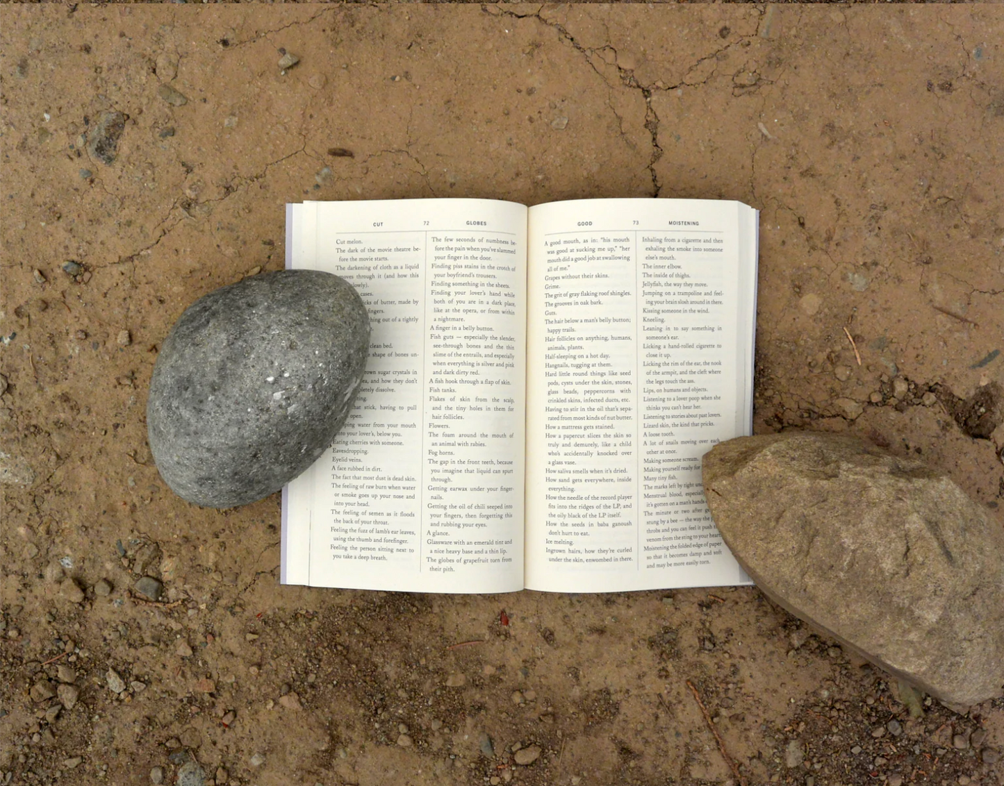 Sming sming books - Johanna Hedva: Minerva the Miscarriage of the Brain