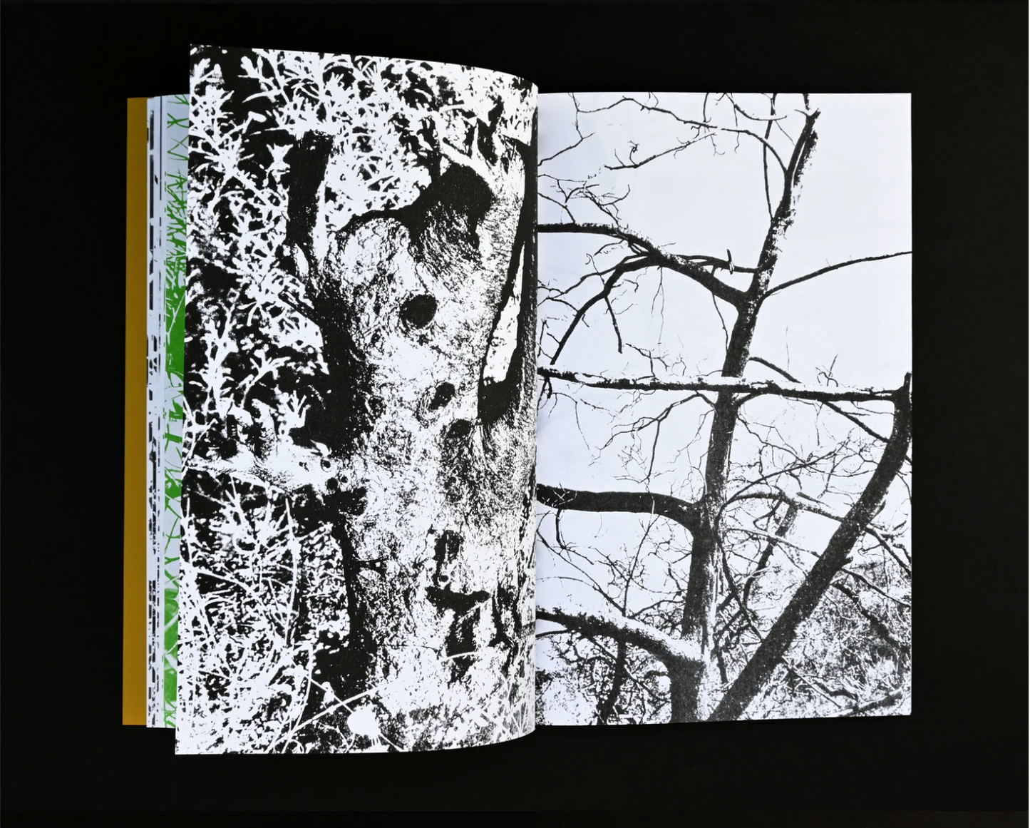 Sming sming books - Perry Doane: Carbonarc