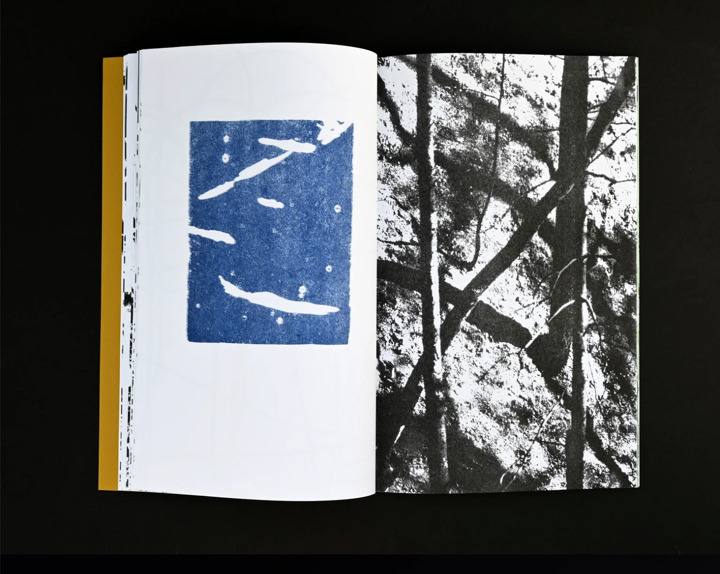 Sming sming books - Perry Doane: Carbonarc