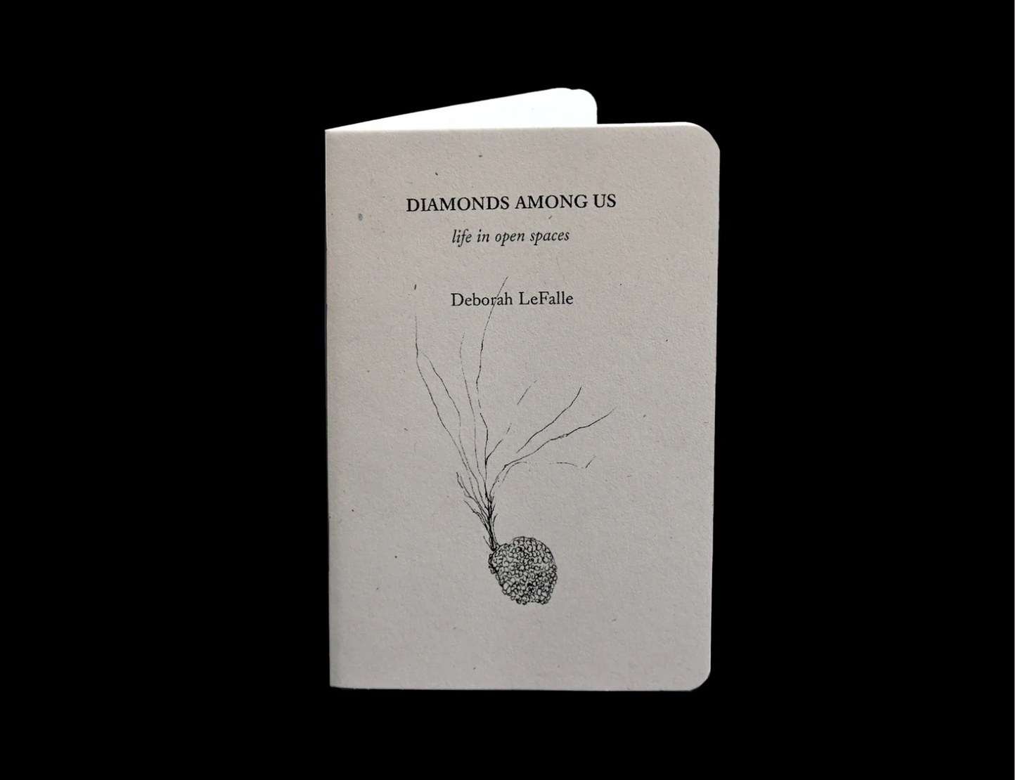 Sming sming books - Deborah LeFalle: Diamonds Among Us