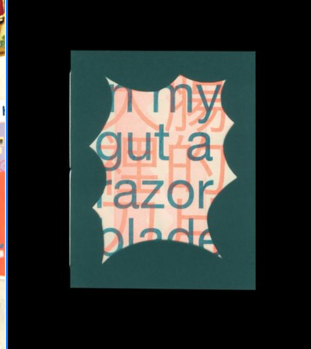 Studio Sansui 山水 - guts zine