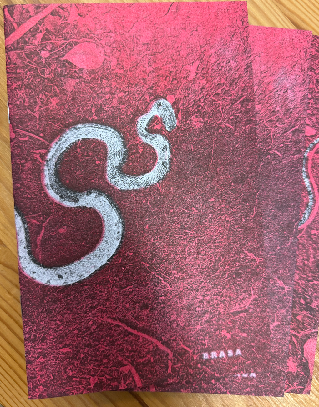 uroboros editorial: Brasa zine