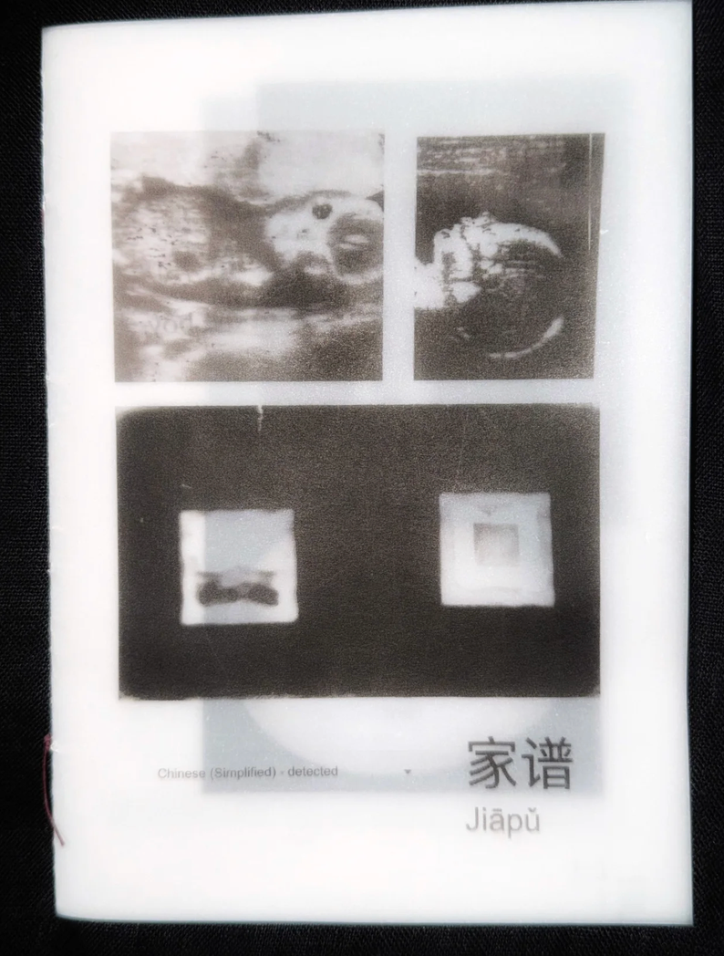 blythe/shulan: JIAPU (家谱)