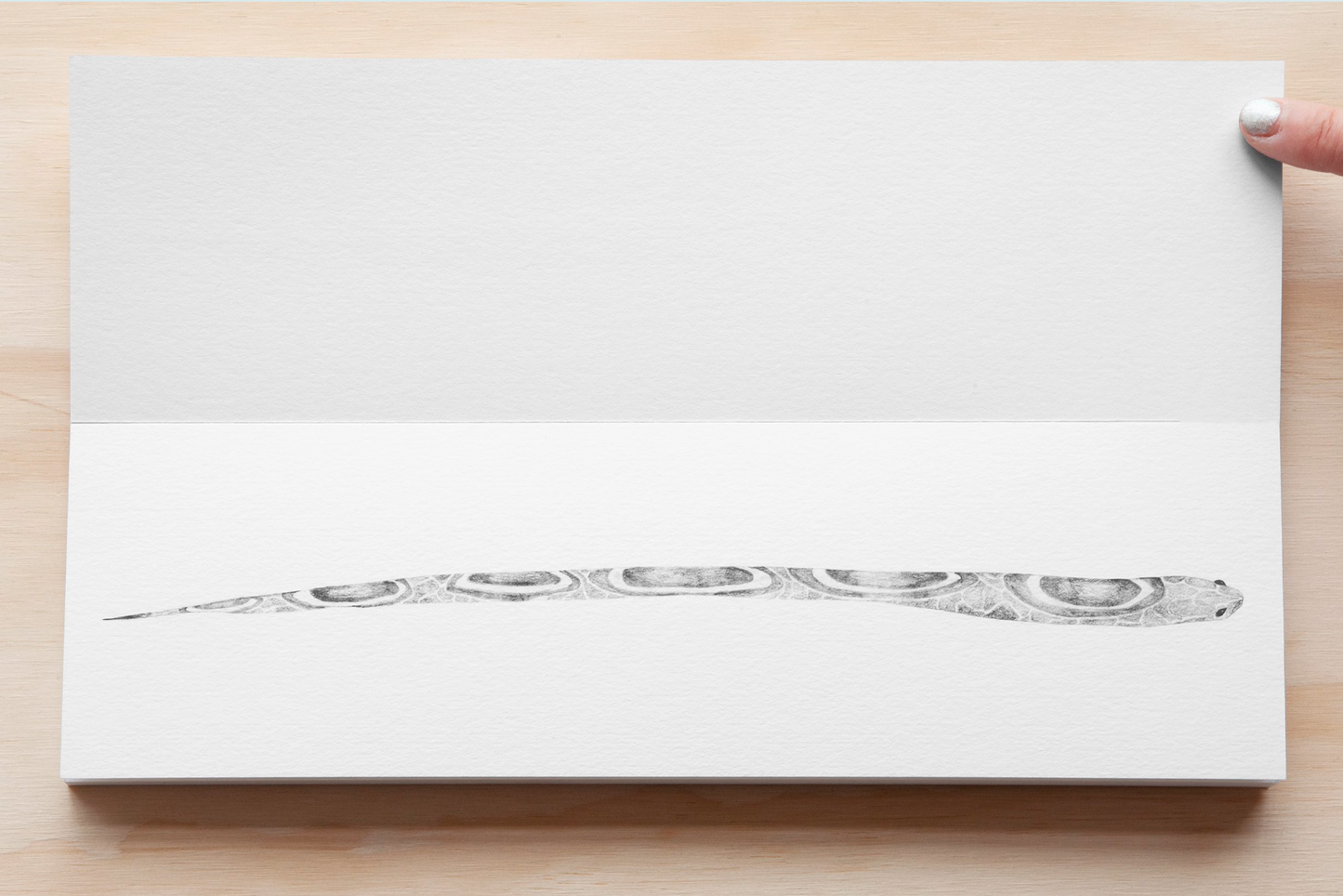 Yuchen - Snake Book