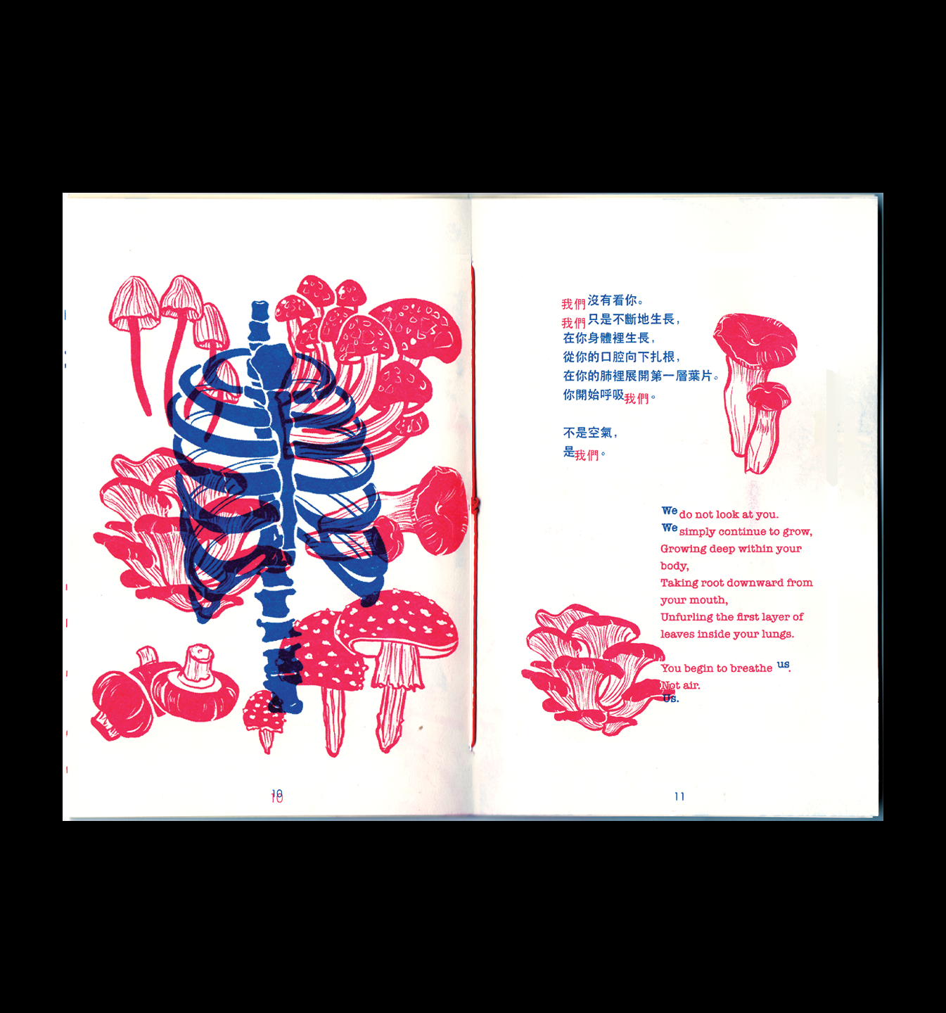 Akaa - A fruit of body 死于生长 RISO Zine