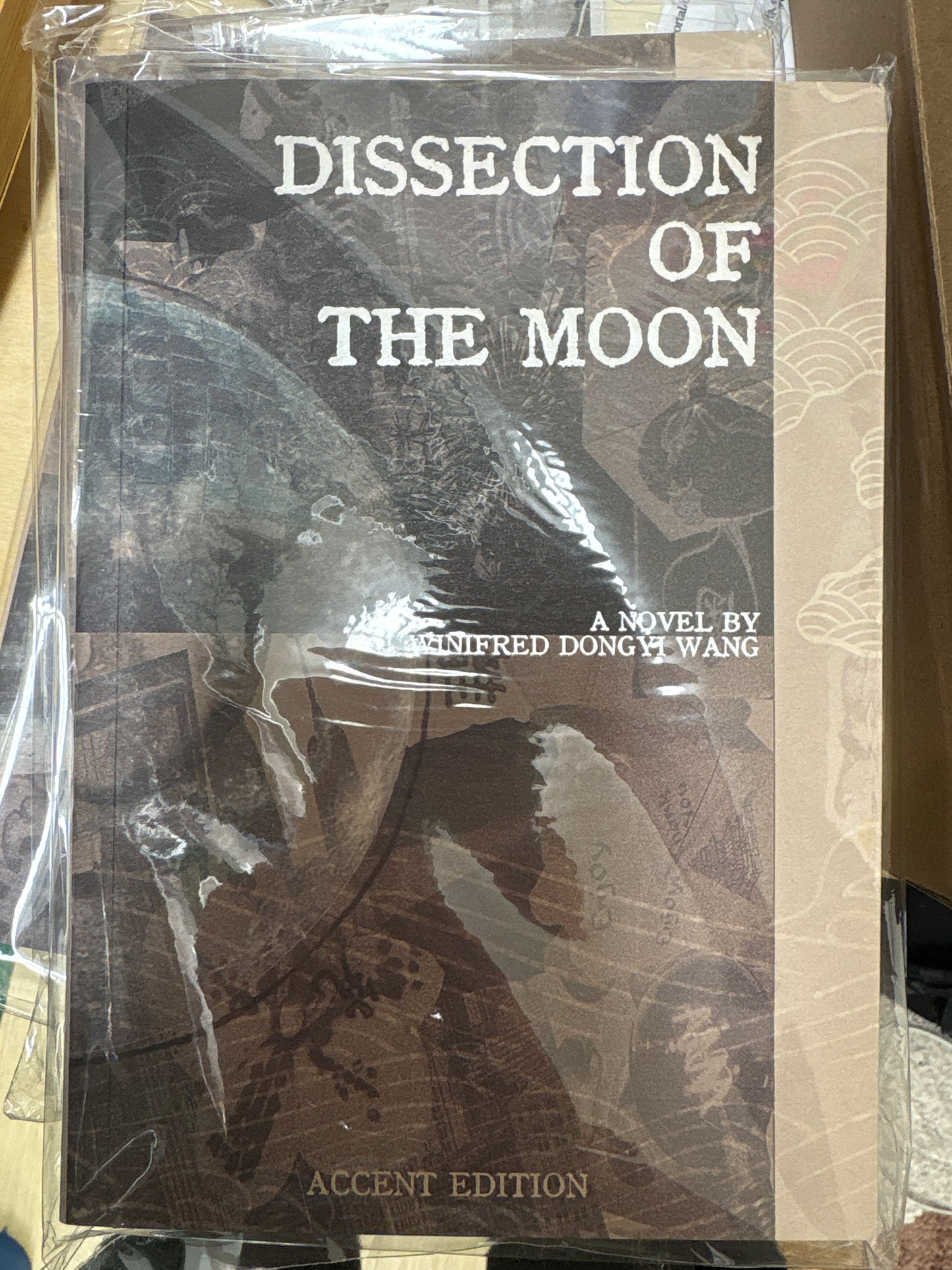 dissection of the moon - accent sister 重音姐妹