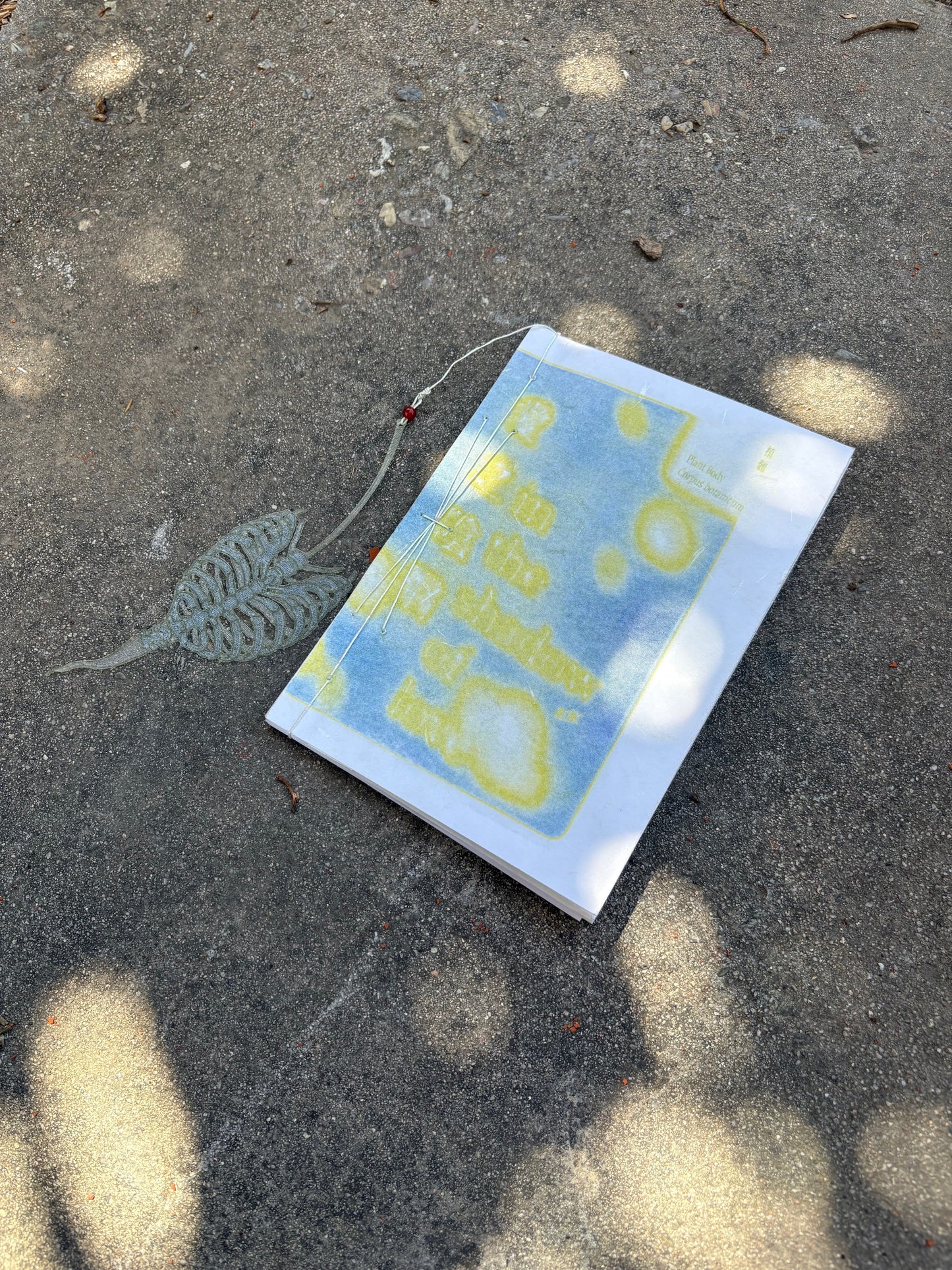 RCRC - plant body: in the shadow of love 植体/爱之阴翳