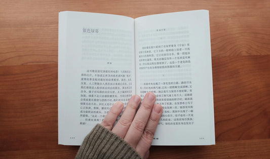 51 Personae - 旅行者的欲望 [C]