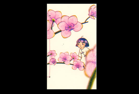 Five Ghosts - Orchid Zine