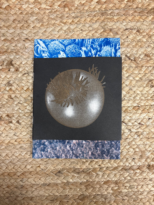 Limestone books - Squeezed Septagon