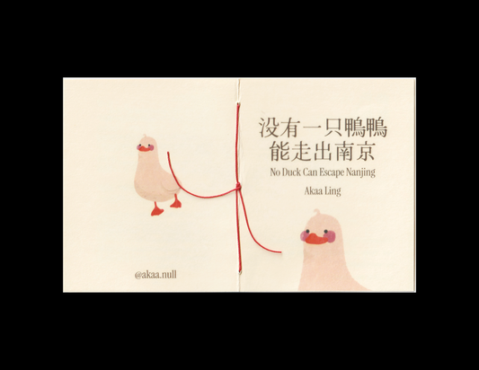 Akaa - zine - No duck can escape Nanjing