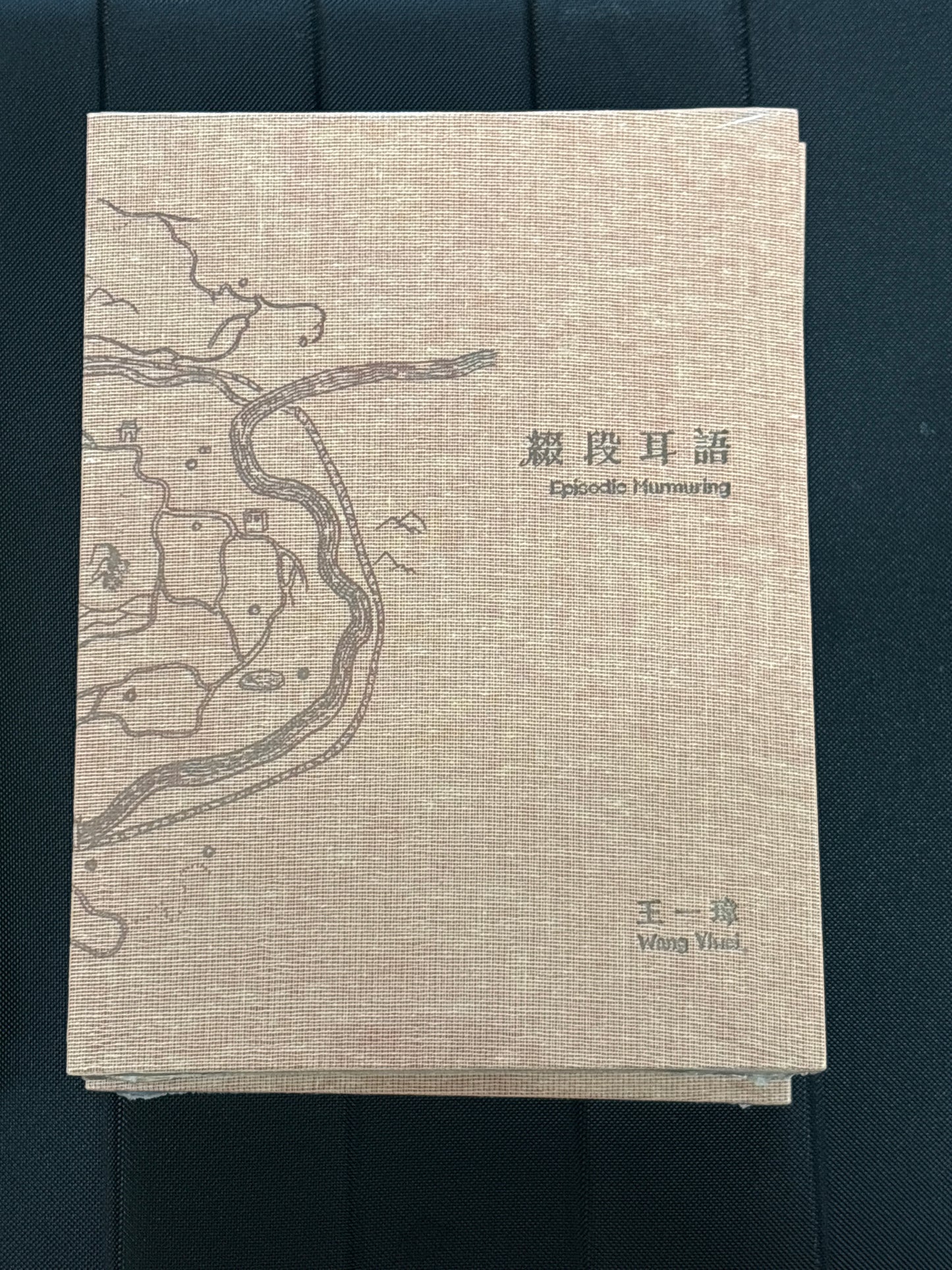 Wang Yiwei & Stasis Space - 缀短耳语 Episodic Murmuring