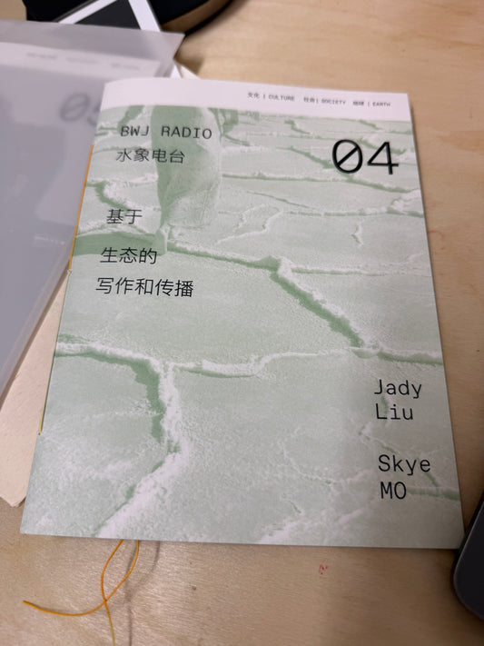 Be water journal Radio 水象电台: Issue 04 基于生态的写作和传播 - Jady Liu
