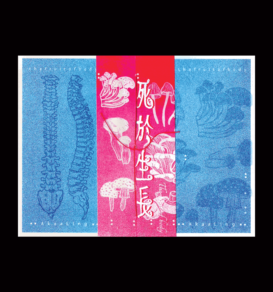 Akaa - A fruit of body 死于生长 RISO Zine