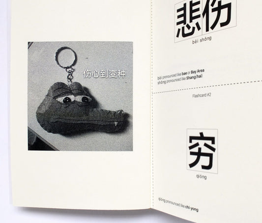 Archive: 傷心到變種 Pepe The Sad Frog Coloring Book and Chinese Language Guide