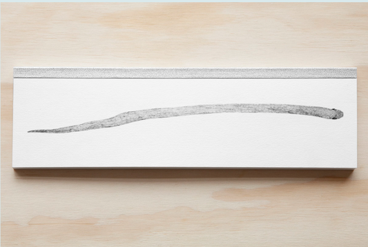 Yuchen -  Snake Book