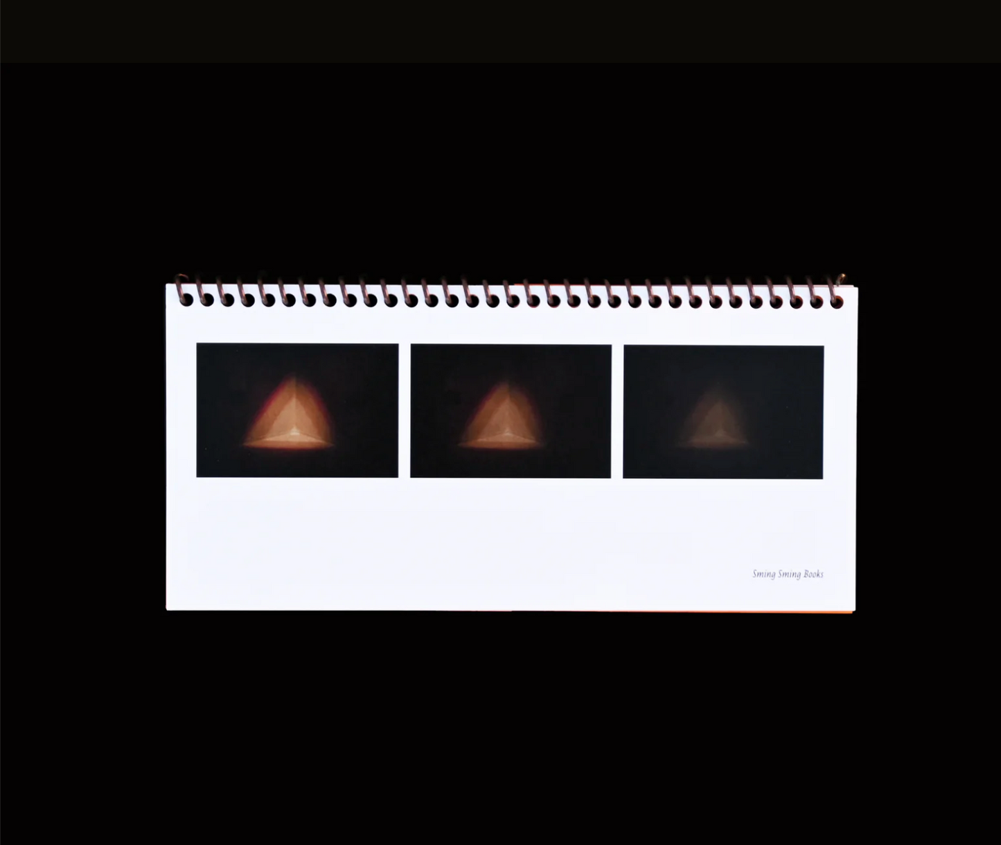 Sming sming books - Indira Allegra: Dispersal of a Feeling: Bloodnotes on Choreography and Illness
