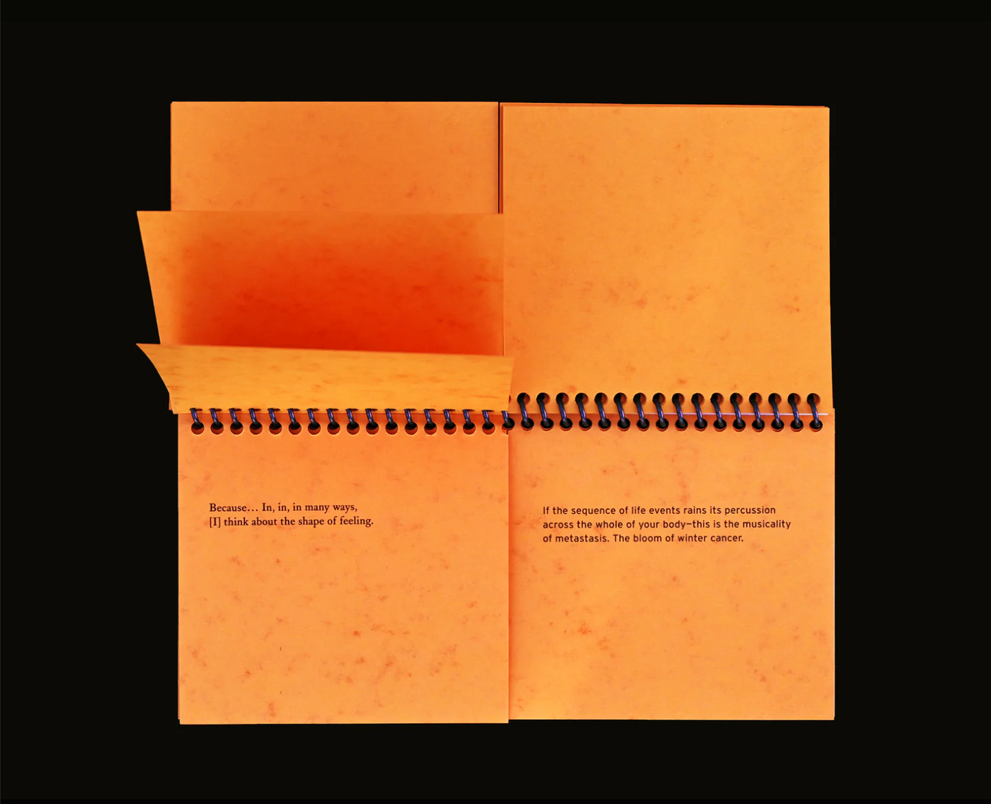 Sming sming books - Indira Allegra: Dispersal of a Feeling: Bloodnotes on Choreography and Illness