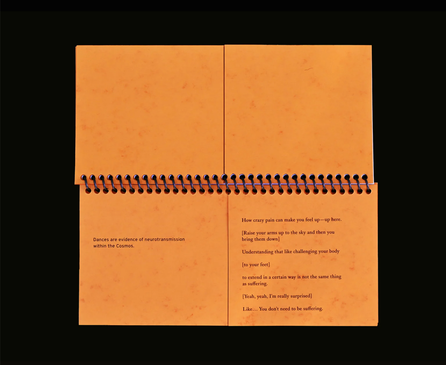 Sming sming books - Indira Allegra: Dispersal of a Feeling: Bloodnotes on Choreography and Illness