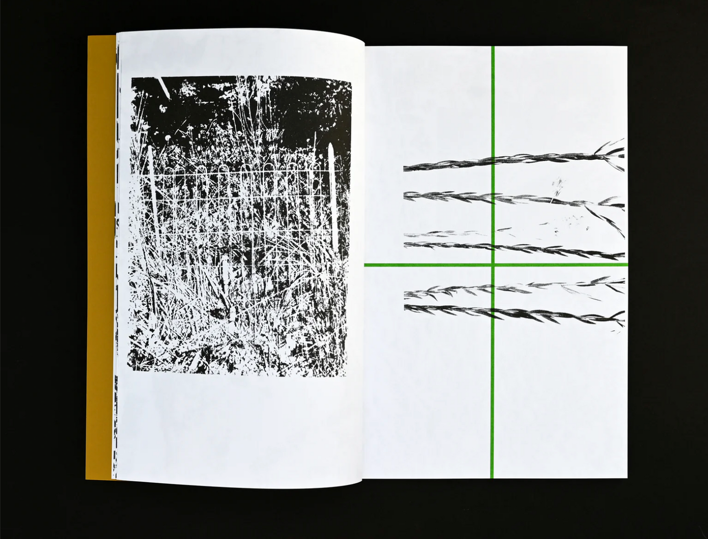 Sming sming books - Perry Doane: Carbonarc