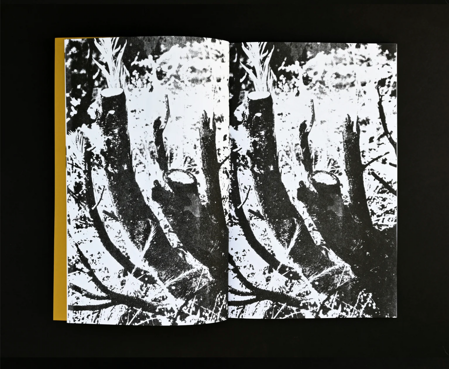 Sming sming books - Perry Doane: Carbonarc