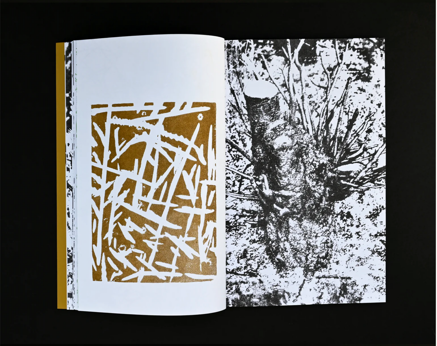 Sming sming books - Perry Doane: Carbonarc