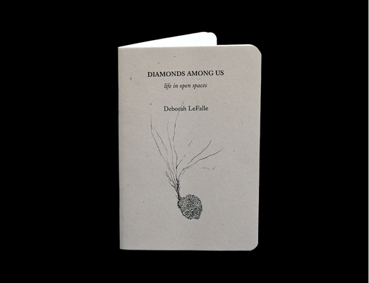 Sming sming books - Deborah LeFalle: Diamonds Among Us