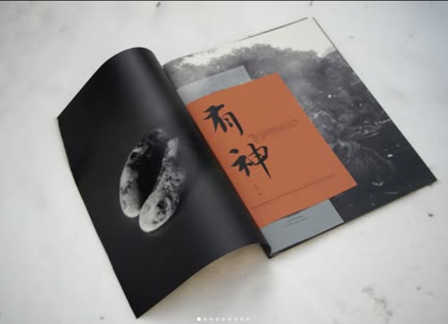Yan shu 鼹书 - wû sín 有神 林舒 Lin Shu