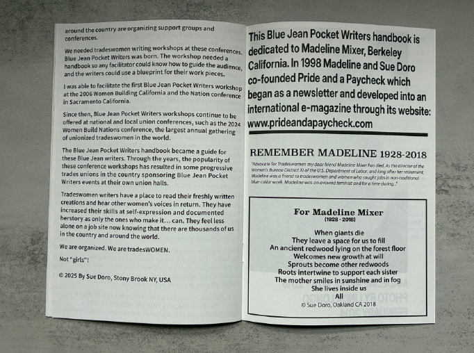 51 personae - 51 人 - Blue Jean Pocket Writers Handbook - Sue Doro