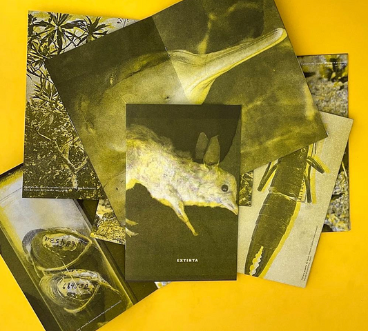 uroboros editorial: Extinta zine