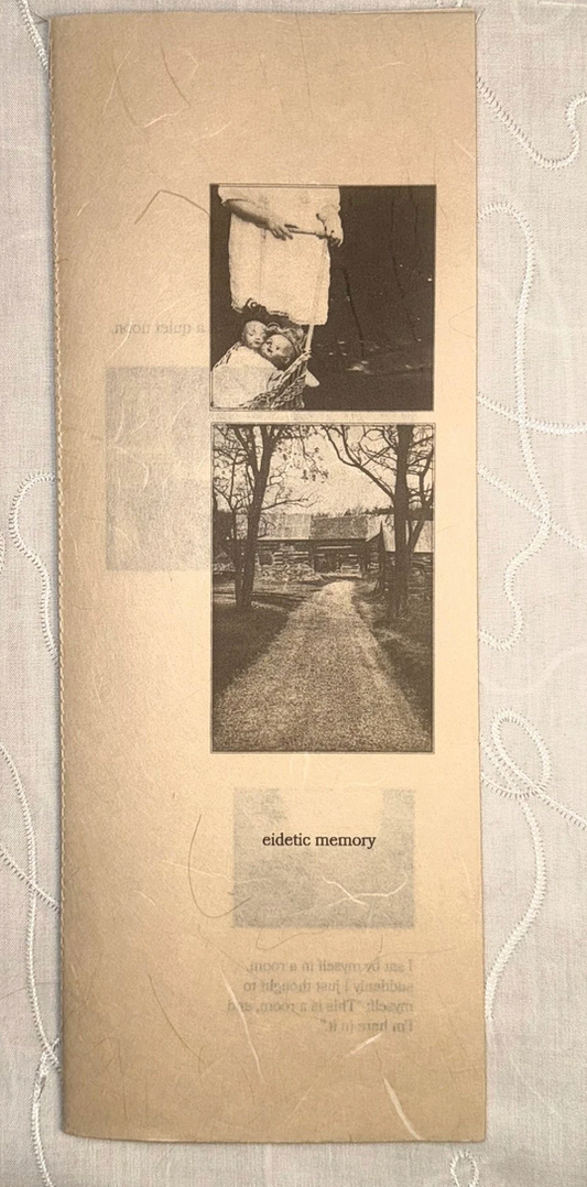 blythe/shulan: EIDETIC MEMORY