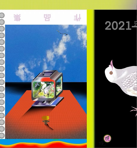 Yaoting Wang: Star gazing syndrom Zine 观星症
