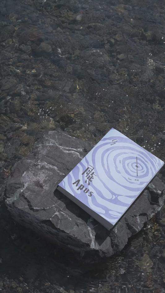 Apus 雨燕 Vol 1 第一期 Time 时间